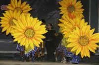 Naayak Movie Audio Launch Photos